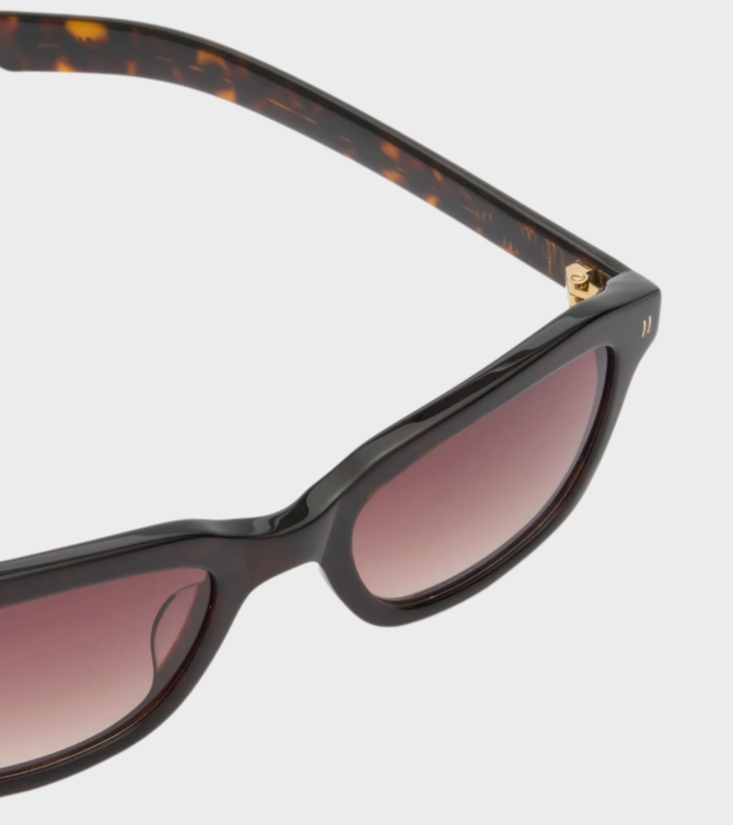 Clint Dark Tortoise/Brown Gradient Lens