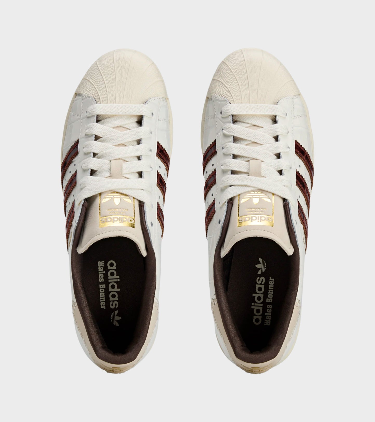 WB Superstar Wonwhi/Foxbr