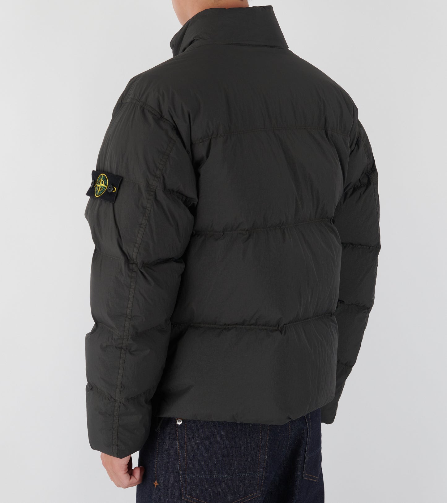 Garment Dyed Crinkle Reps NY Down Jacket Brown