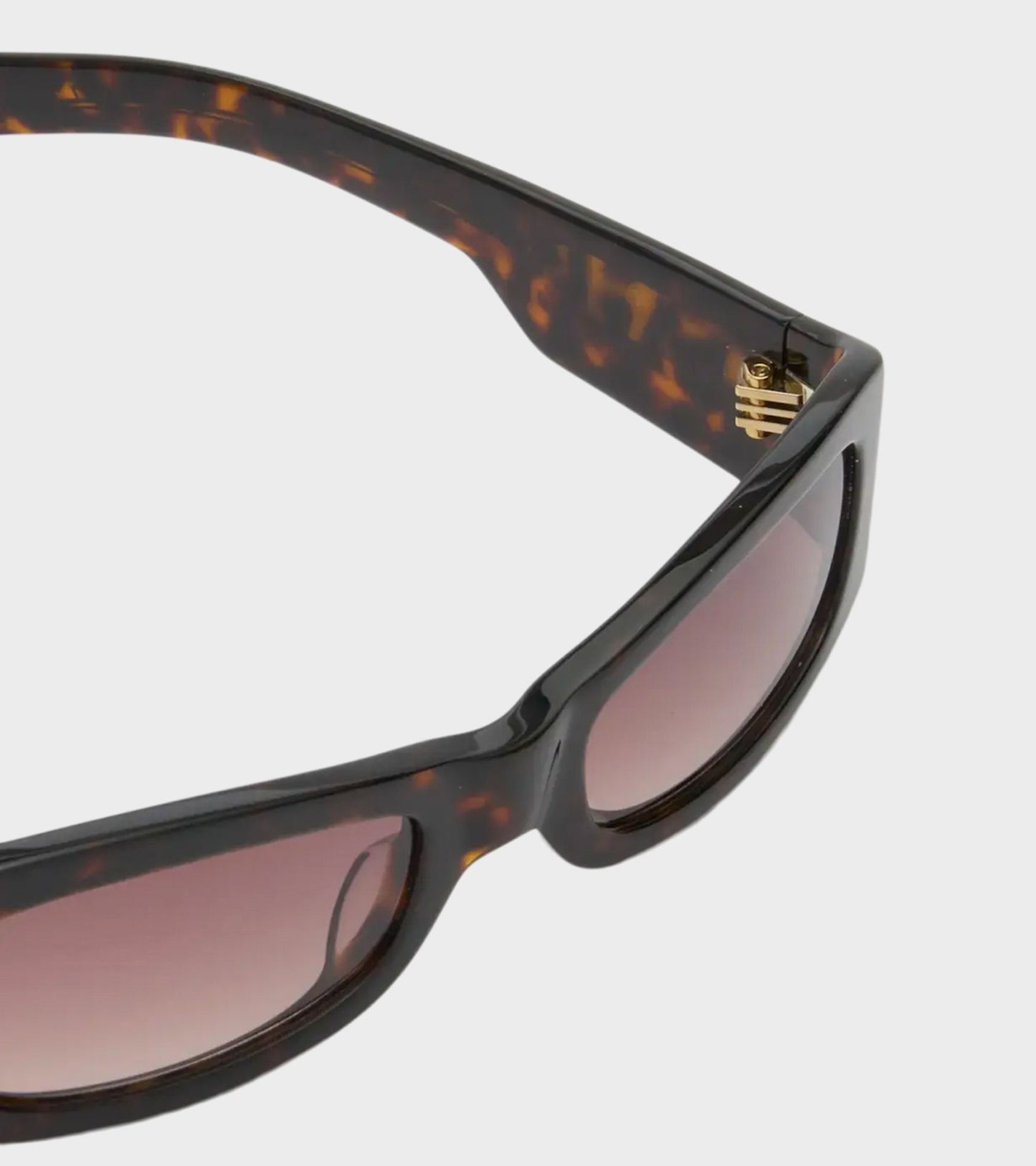 Kareem Tortoise/Brown Gradient Lens