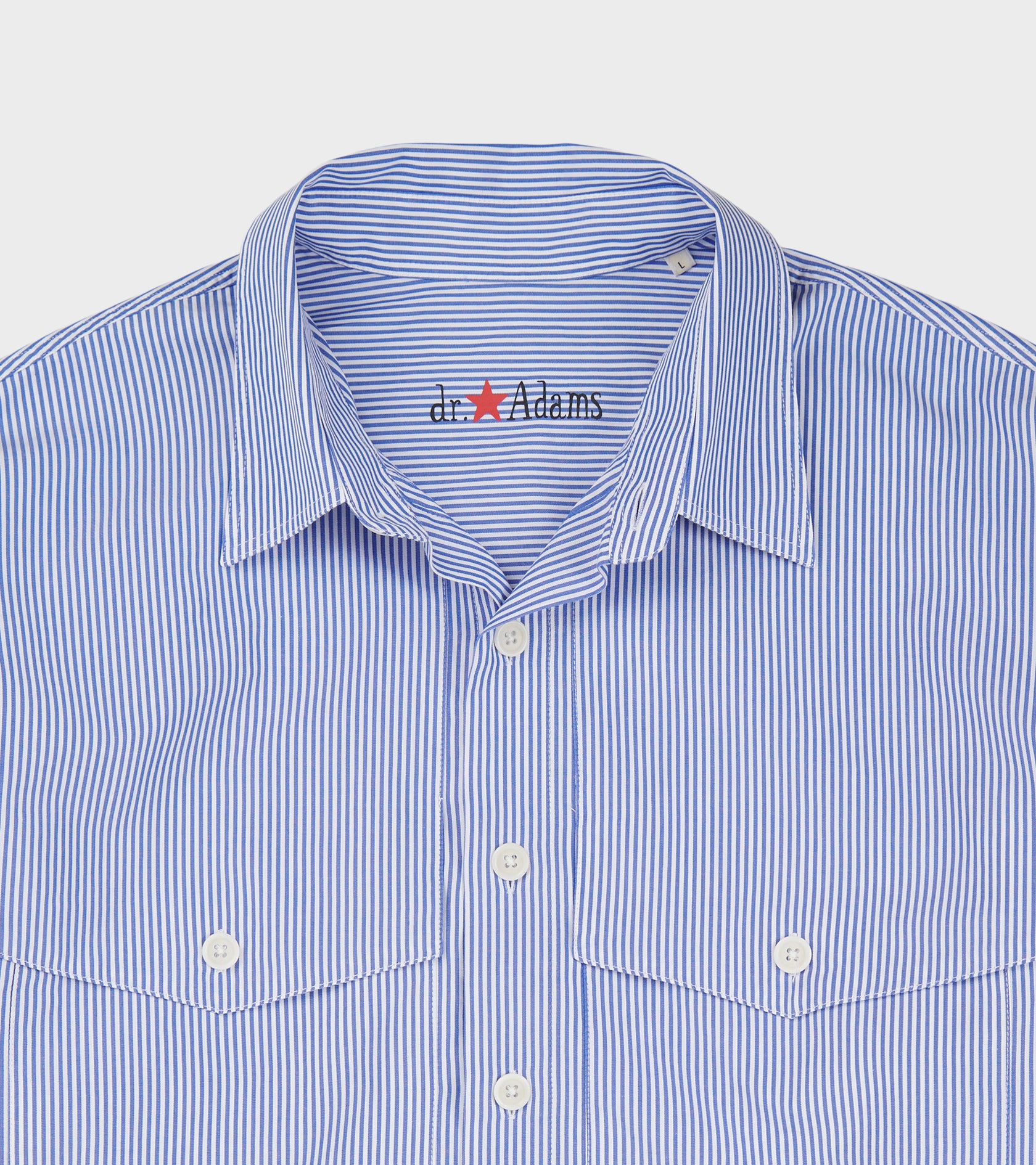 X dr. Adams Note Shirt Blue Stripe