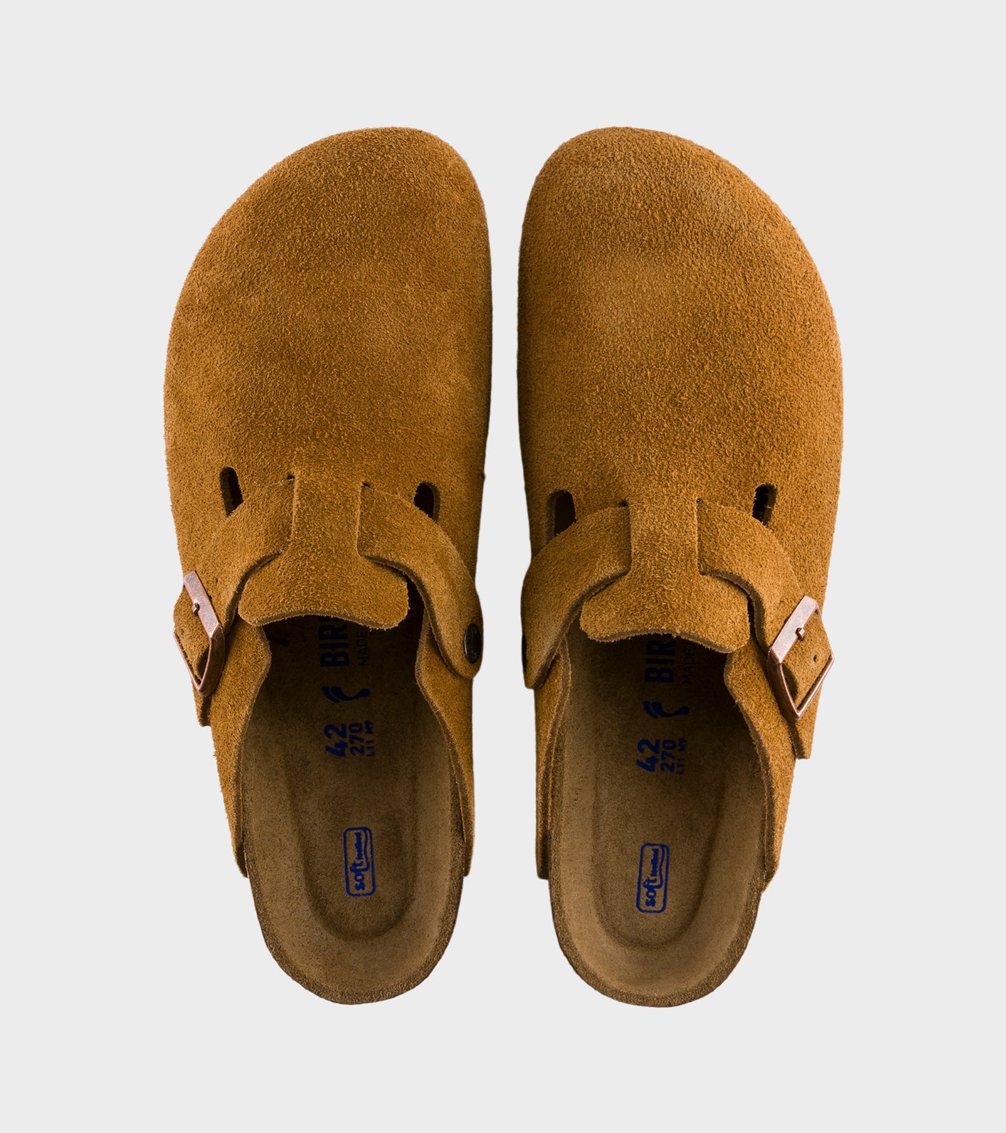 Boston BS Mink