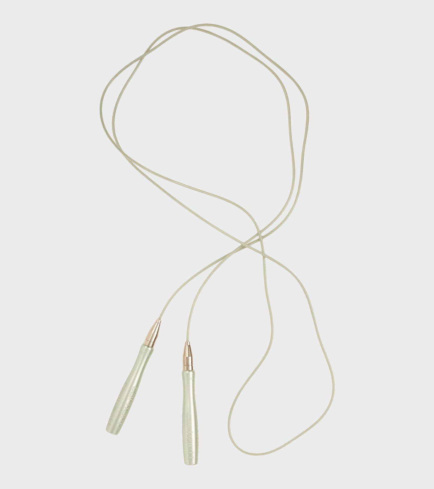 Skipping Rope Yucca