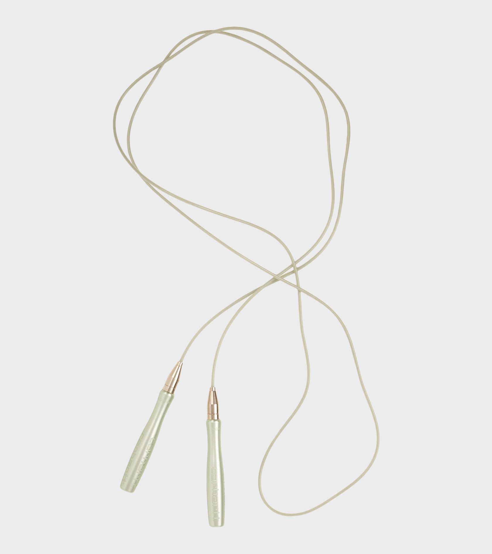 Skipping Rope Yucca