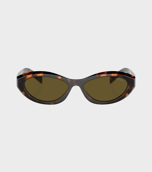 0PR 26ZS Honey Tortoise