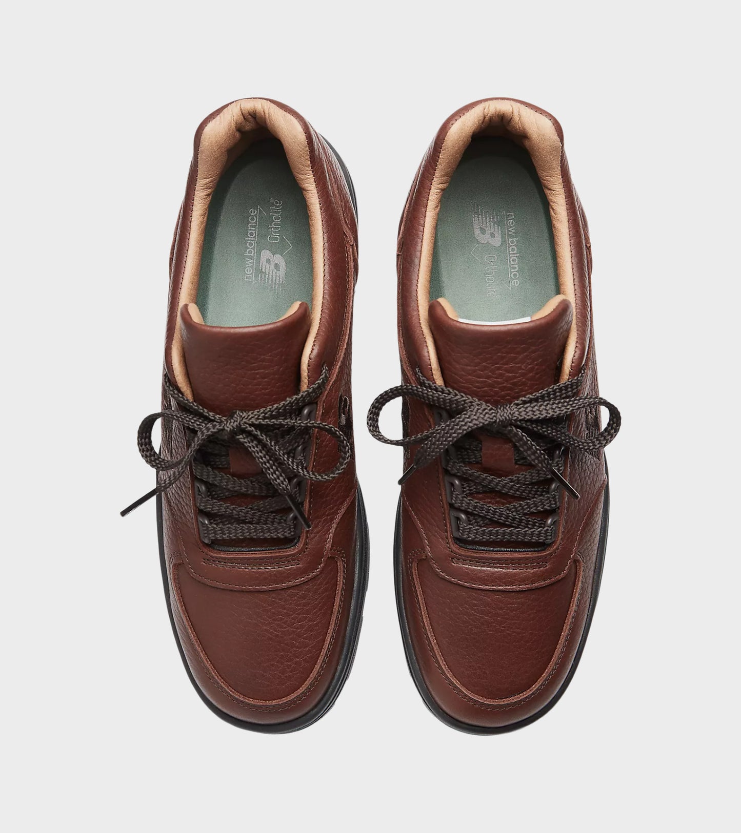 Allerdale Tortoise Shell/Black Coffee/Black