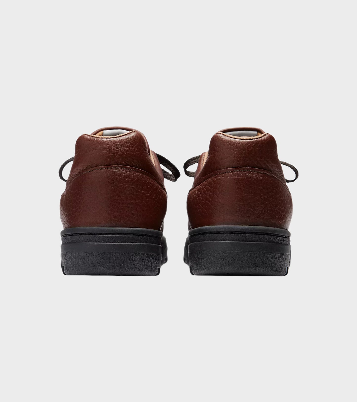 Allerdale Tortoise Shell/Black Coffee/Black