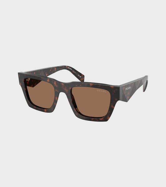 0PR A06S Root Tortoise/Dark Brown