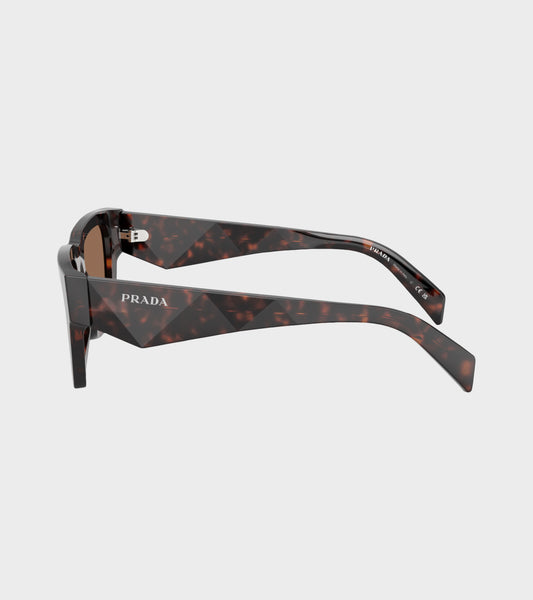 0PR A06S Root Tortoise/Dark Brown