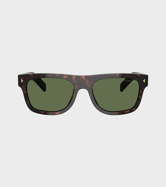 0PR B12S Root Tortoise/Polar Green