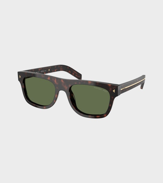 0PR B12S Root Tortoise/Polar Green