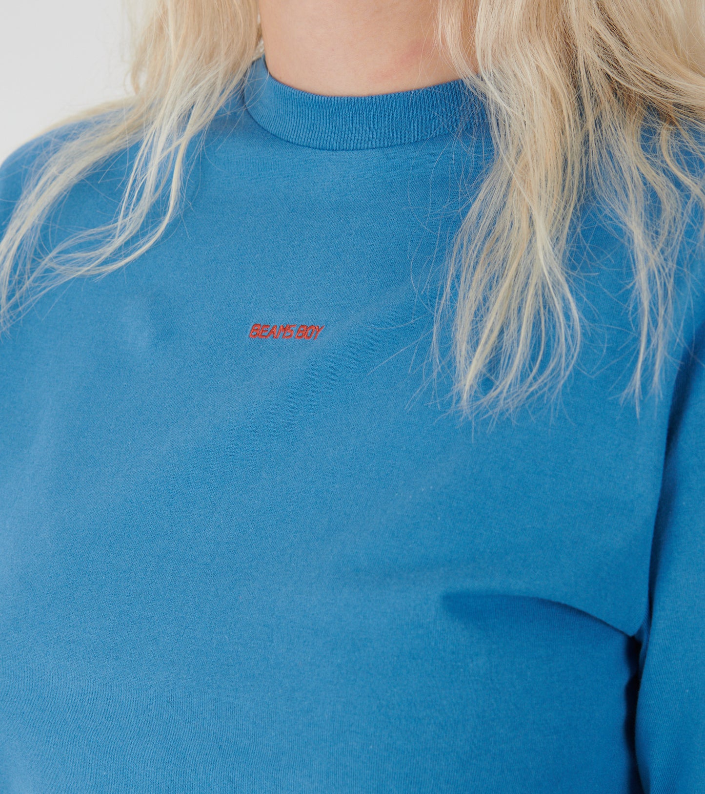 Mini Logo L/S T-shirt Blue