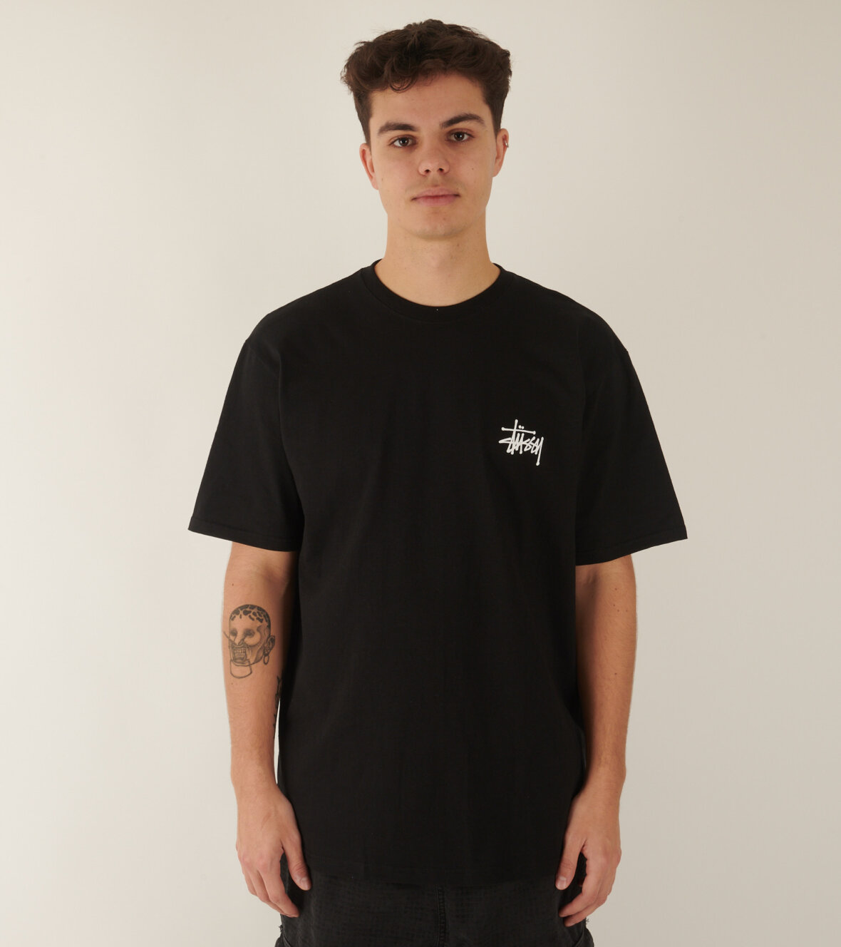 stussy basic stussy tee