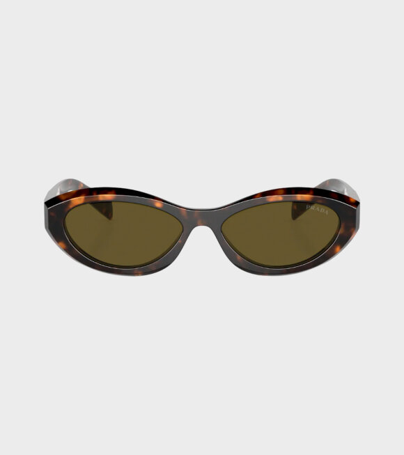 PRADA eyewear - OPR 26ZS Tortoise Dark Brown