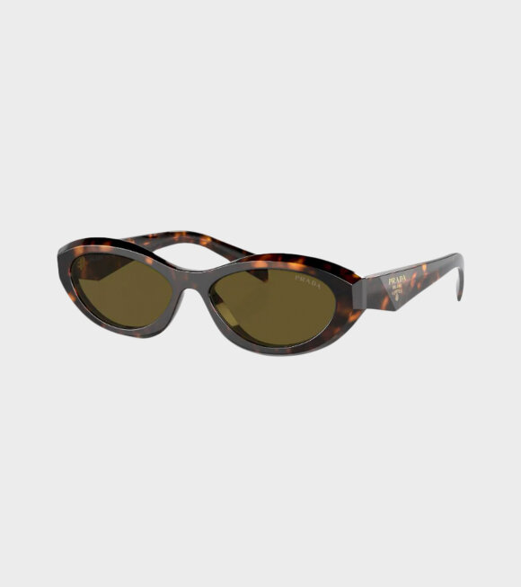 PRADA eyewear - OPR 26ZS Tortoise Dark Brown