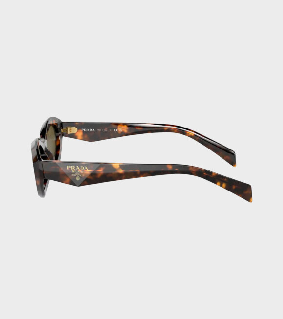 PRADA eyewear - OPR 26ZS Tortoise Dark Brown